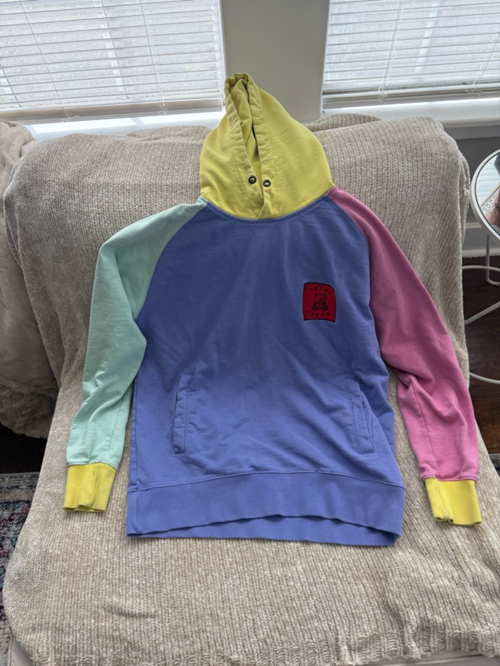 Teddy Fresh Pastel Hoodie